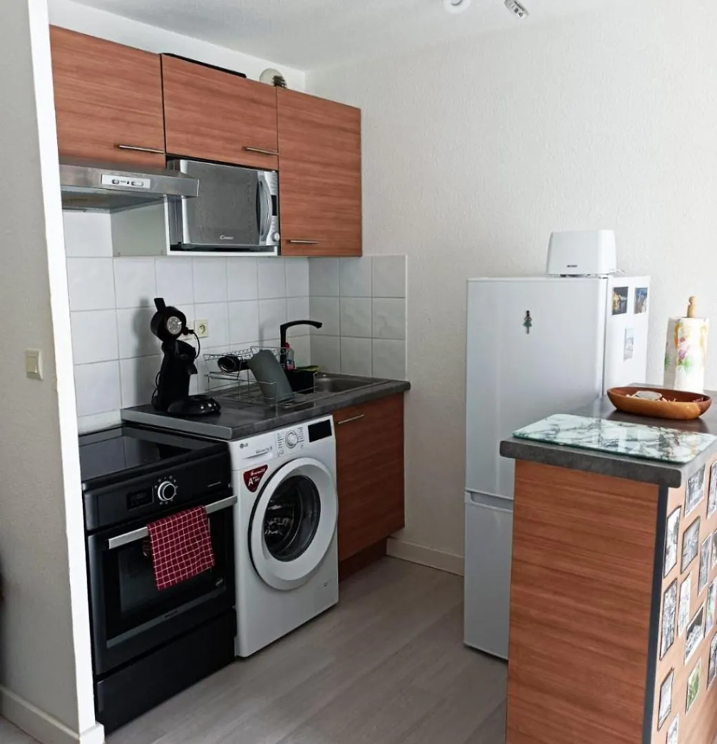 Ravissant Appartement T2 Proche Autoroute Et Centre-Ville Villefranche-sur-Saône 0*,